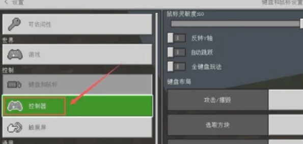 我的世界怎么把鼠标隐藏5