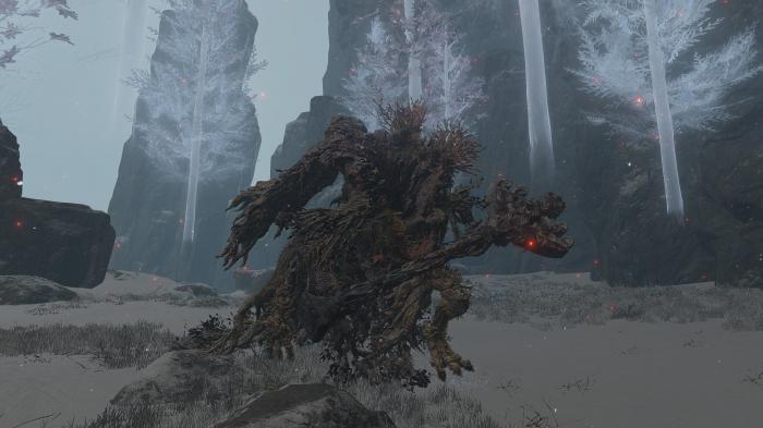 艾尔登法环化圣雪原有什么2