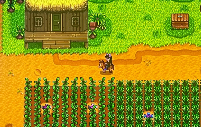 星露谷物语小马驹有什么用_星露谷物语的马需不需要吃东西