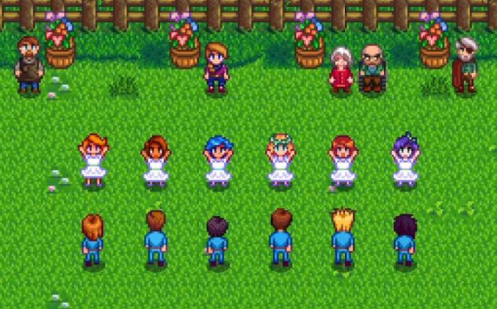 星露谷物语第一年如何和喜欢的角色跳舞1