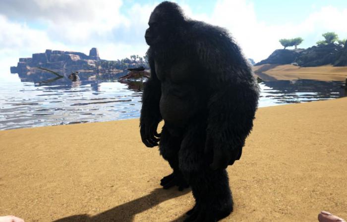 方舟生存进化巨猿有什么用_方舟生存进化巨猿怎么拿武器