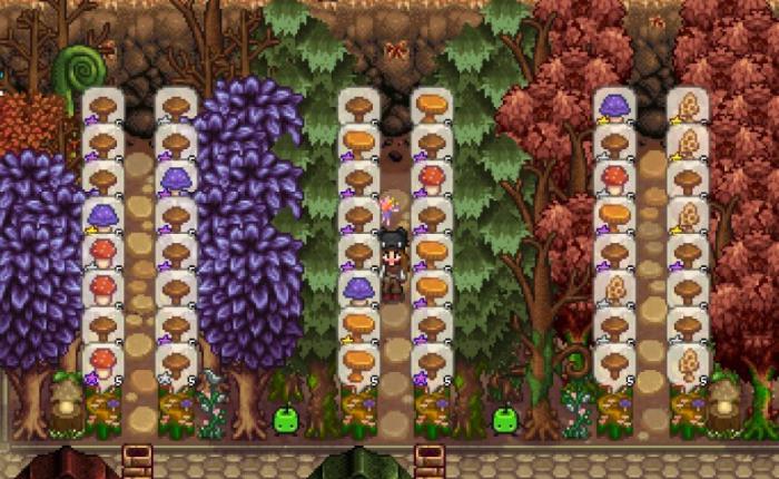 星露谷物语蘑菇树桩有哪些特性_星露谷物语蘑菇树怎么种