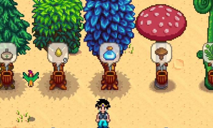 星露谷物语核桃房有哪些值得购买的物品2