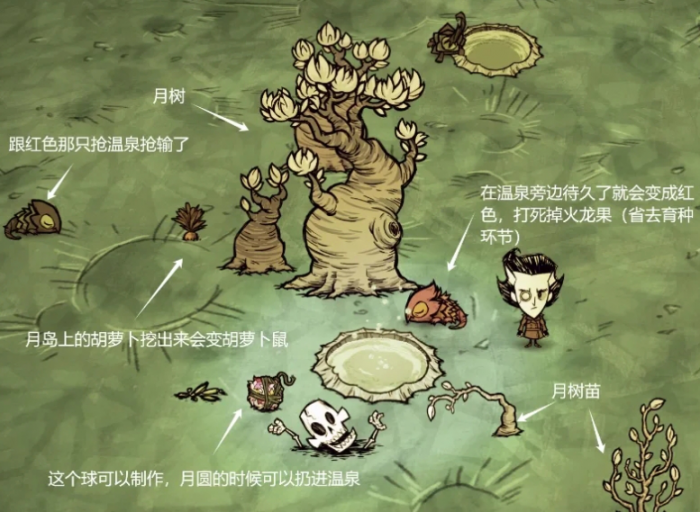 饥荒月岛海滩和浴场中有什么1