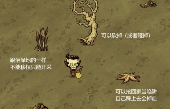 饥荒月岛海滩和浴场中有什么2