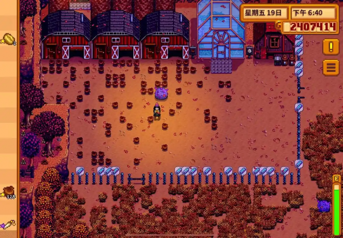 星露谷物语围栏有什么作用2