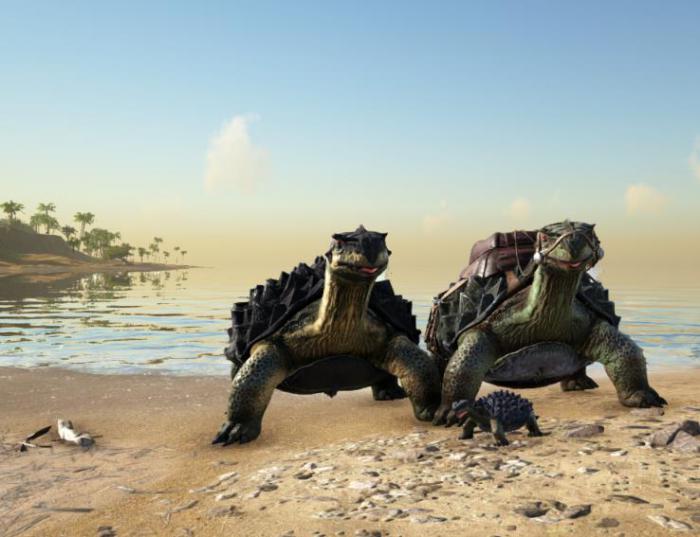 方舟生存进化如何驯服淡水碳龟2