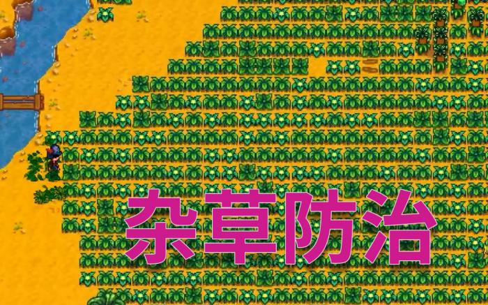 星露谷物语杂草有哪些特点1