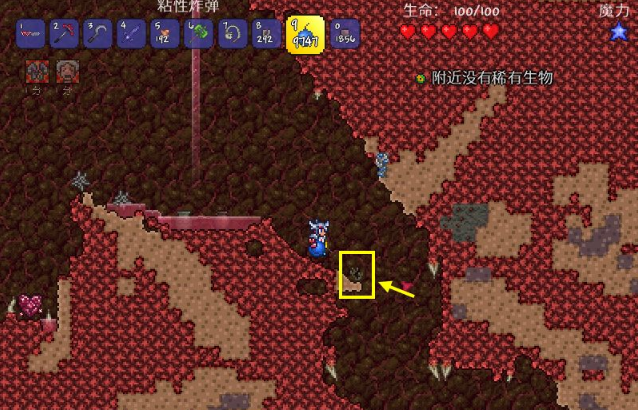 泰拉瑞亚草药怎么种植_泰拉瑞亚草药种植加速