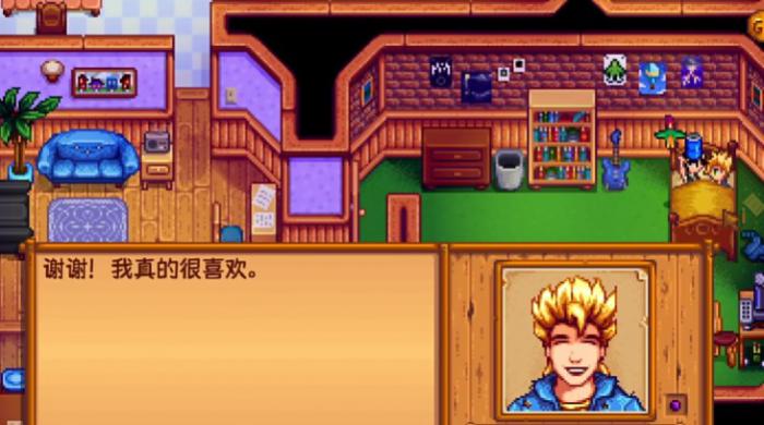 星露谷物语垃圾有什么作用1