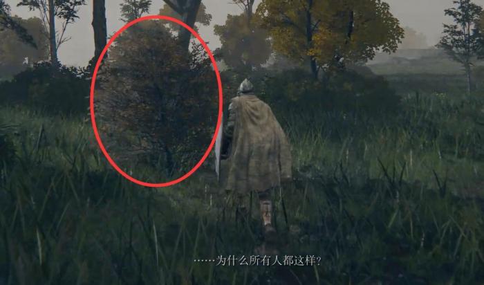 艾尔登法环裁缝师柏克支线任务如何完成2