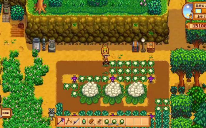 星露谷物语花椰菜有哪些特性2