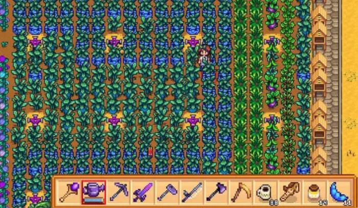 星露谷物语齐先生的作物怎么完成_星露谷物语齐先生的作物作弊