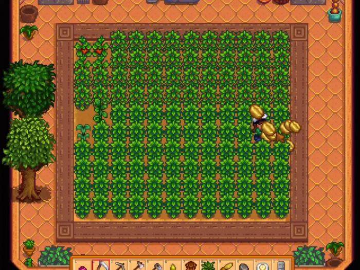 星露谷物语咖啡豆有哪些作用2