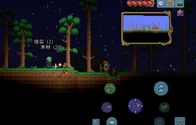 泰拉瑞亚第一天有哪些玩法2