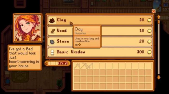 星露谷物语木匠商店有哪些值得购买的_星露谷物语 木匠在哪