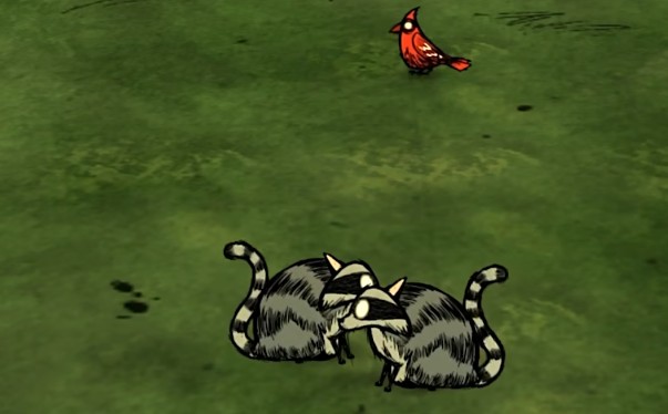 饥荒联机版浣猫有哪些特性1