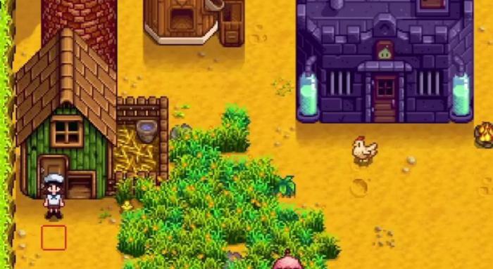 星露谷物语如何饲养动物1