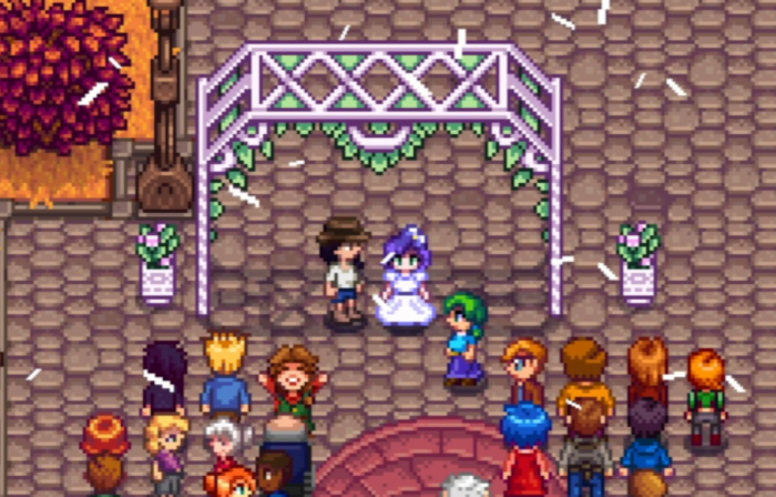 星露谷物语怎么有小孩_星露谷物语小孩怎么生