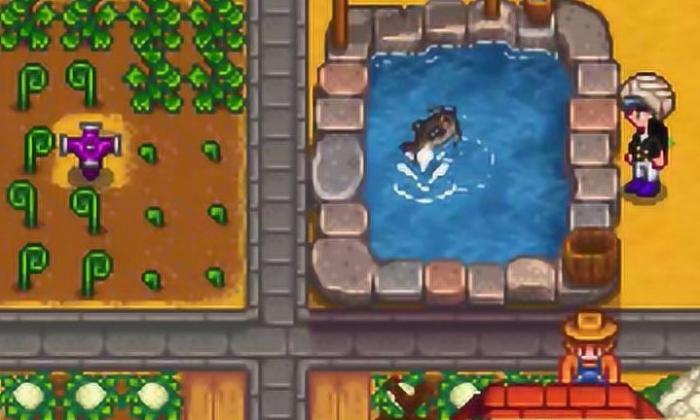 星露谷物语青泥石怎么得3