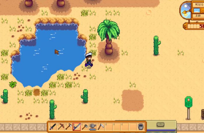 星露谷物语去沙漠需要准备什么3