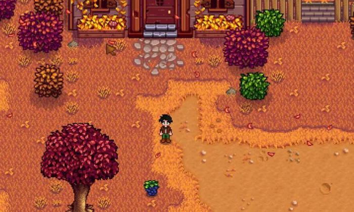 星露谷物语海莉秋天一般在哪3