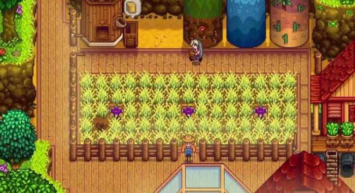 星露谷物语姜岛度假村怎么建3