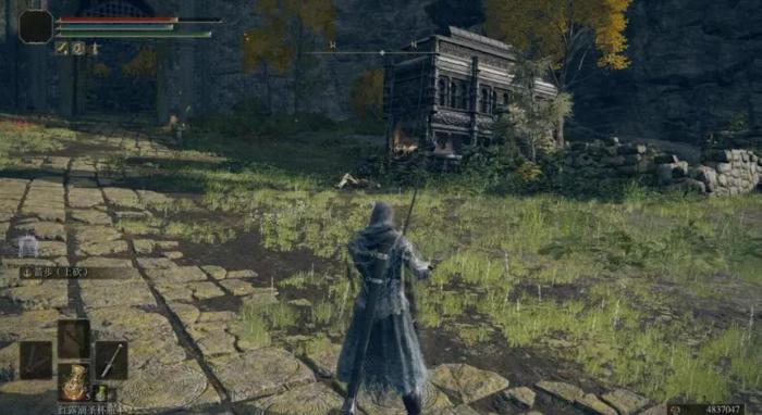 艾尔登法环绿色条是什么1