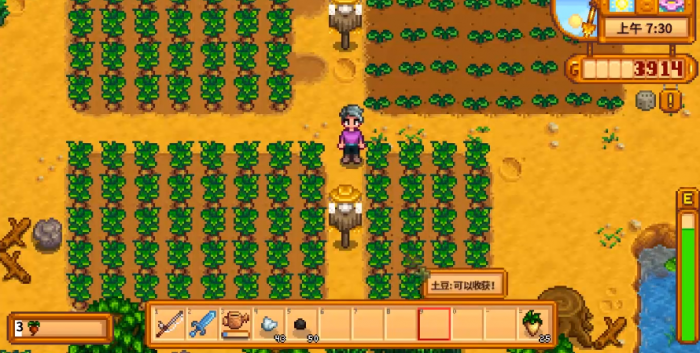 星露谷物语种植什么最好3