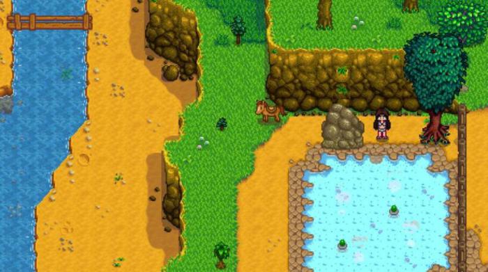 星露谷物语怎么带人去温泉3