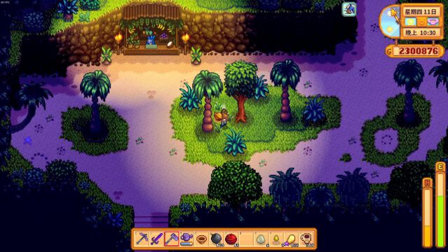 星露谷物语姜岛怎么获得2