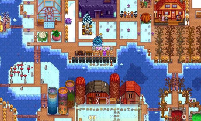 星露谷物语海莉项链在哪2