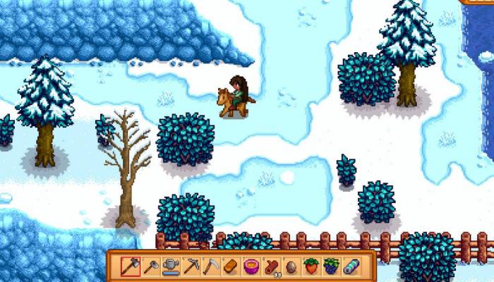 星露谷物语雨天艾利欧特在哪_星露谷物语艾利奥特雨天在哪里