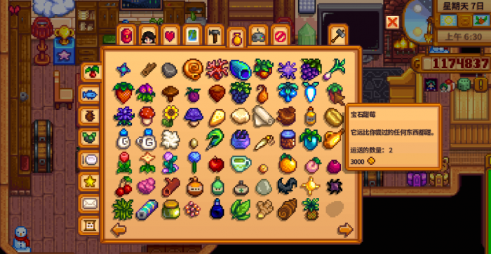 星露谷物语孩子有什么用1