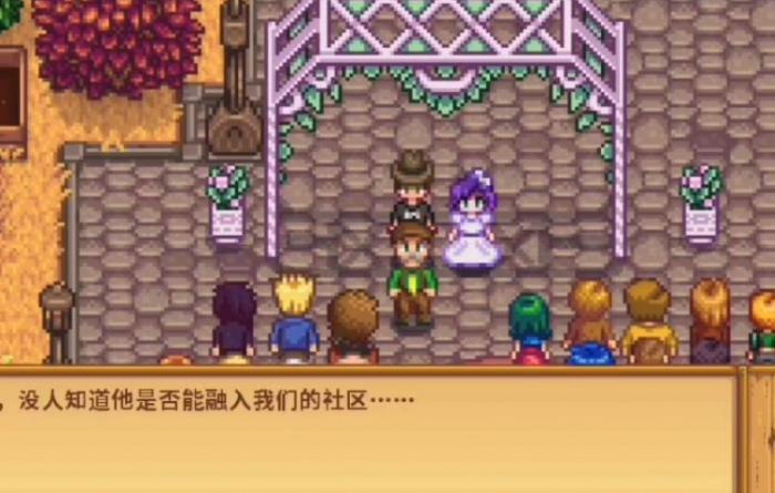 星露谷物语紫头发女孩在哪_星露谷物语紫水晶在哪一层