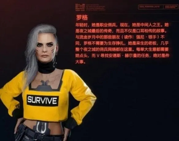 赛博朋克2077怎么攻略罗格1