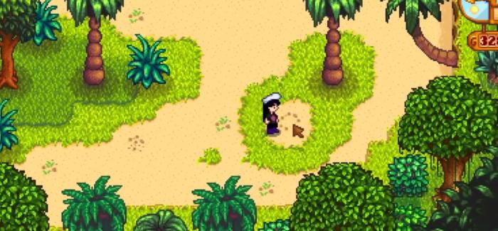 星露谷物语姜岛核桃在哪里3