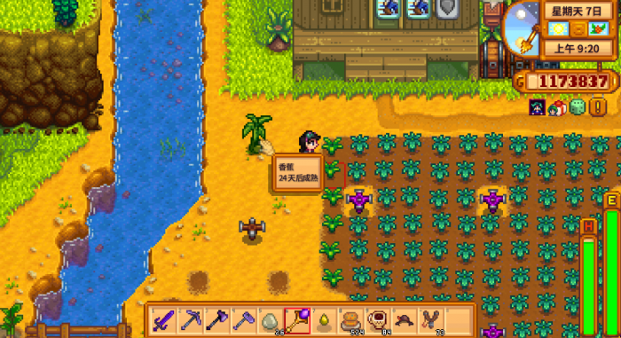 星露谷物语什么树苗好2