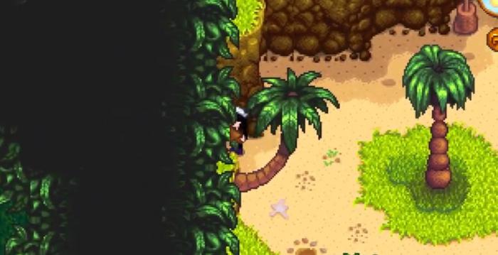 星露谷物语怎么去姜岛_星露谷物语去姜岛要带什么