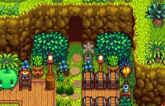 星露谷物语怎么去姜岛2