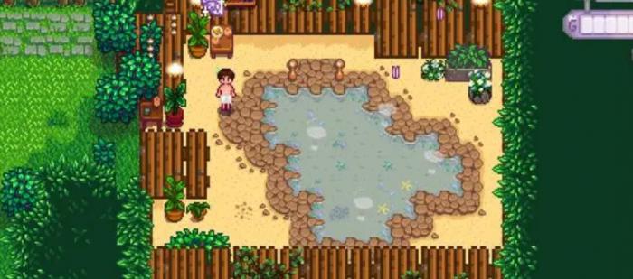 星露谷物语的温泉有什么作用2