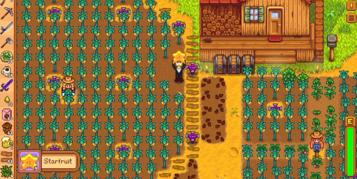 星露谷物语夏天种什么花2