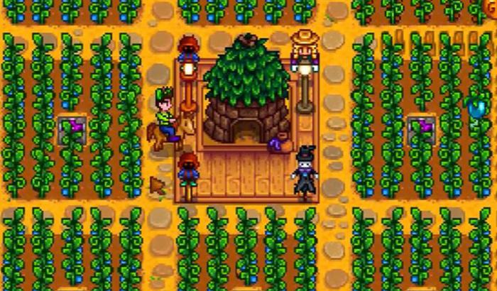 星露谷物语种什么升级快1