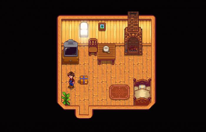 星露谷物语海莉会到哪里1