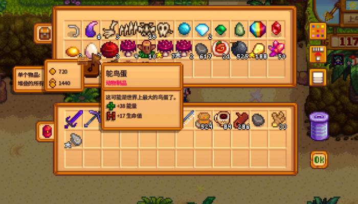 星露谷物语海莉房间在哪1