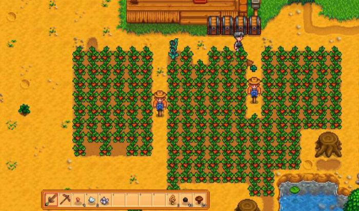 星露谷物语艾米丽住哪里2