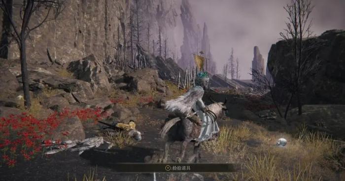 艾尔登法环战灰在哪获得2