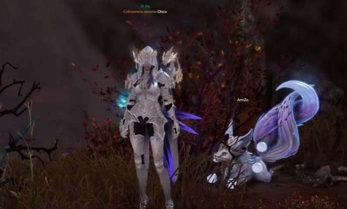 失落的方舟女神岛在哪_失落的方舟支线任务