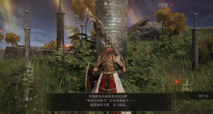 艾尔登法环封面那一套衣服哪里搞2