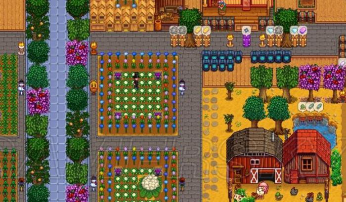 星露谷物语海莉星期天在哪1